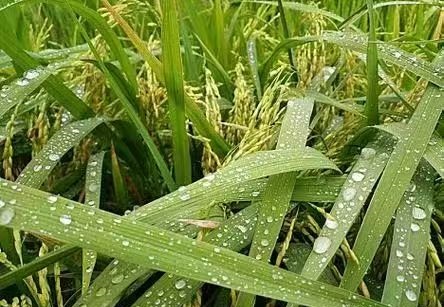 秋里的那些事